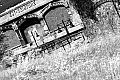 Petite Ceinture parisienne, photo 11