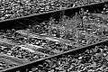 Petite Ceinture parisienne, photo 12