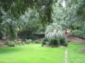 Louisiane, photo 10