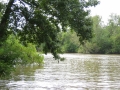 Louisiane, photo 12