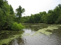 Louisiane, photo 14