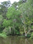 Louisiane, photo 16