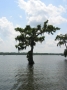 Louisiane, photo 2
