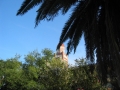 Louisiane, photo 31