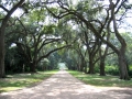 Louisiane, photo 32