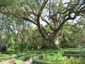 Louisiane, photo 34