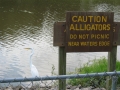 Louisiane, photo 6