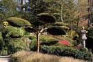 Parc Oriental de Maulévrier, photo 16