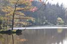 Parc Oriental de Maulévrier, photo 19