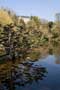 Parc Oriental de Maulévrier, photo 33